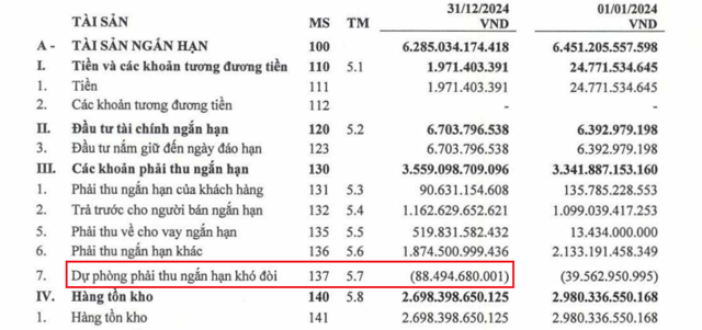 Nguồn: BCTC hợp nhất qu&yacute; IV/2024 của Hải Ph&aacute;t. &nbsp;
