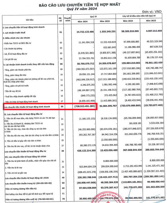 Năm 2024, dòng tiền kinh doanh của Cenland âm hơn 733 tỷ đồng - Ảnh 1