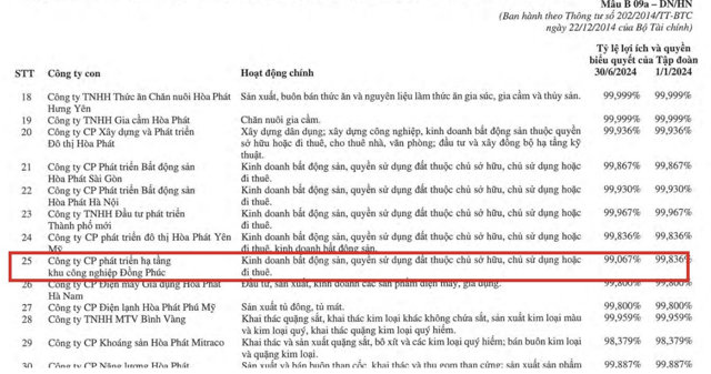 B&aacute;o c&aacute;o b&aacute;n ni&ecirc;n năm 2024 đ&atilde; so&aacute;t x&eacute;t của Tập đo&agrave;n Ho&agrave; Ph&aacute;t. &nbsp;