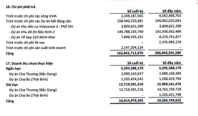 Nam Mê Kông (VC3): Lợi nhuận năm 2024 sụt giảm gần một nửa, tồn kho ở dự án Bảo Ninh 2 lên tới gần 1.500 tỷ đồng - Ảnh 2