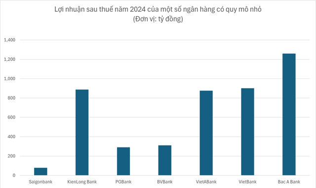 Nhóm ngân hàng quy mô nhỏ nhất thị trường làm ăn ra sao trong năm 2024? - Ảnh 1