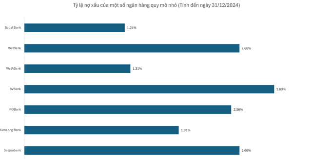 Nhóm ngân hàng quy mô nhỏ nhất thị trường làm ăn ra sao trong năm 2024? - Ảnh 2