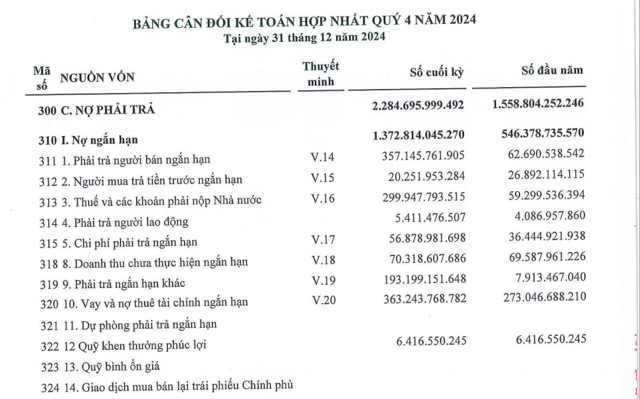 Thăng Long Invest (TIG): Chi phí tài chính tăng đột biến đã “kéo sập” lợi nhuận, “lỡ hẹn” với hàng loạt thương vụ - Ảnh 3