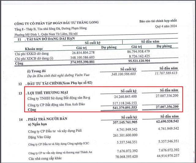 Thăng Long Invest (TIG): Chi phí tài chính tăng đột biến đã “kéo sập” lợi nhuận, “lỡ hẹn” với hàng loạt thương vụ - Ảnh 5