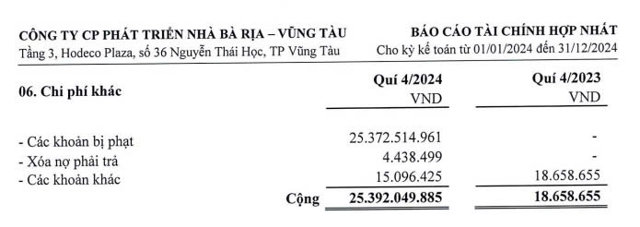 Quý 4, ông lớn bất động sản Vũng Tàu báo lãi mỏng, giảm 98,4% so với cùng kỳ - Ảnh 2