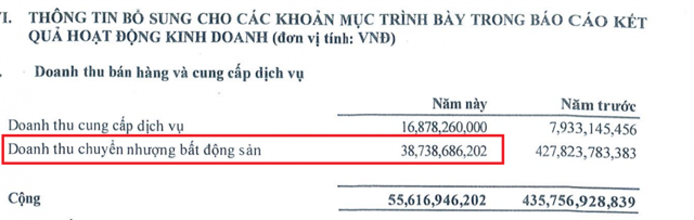 Nhà Đà Nẵng (NDN): Kinh doanh lao dốc, doanh thu từ chuyển nhượng bất động sản sụt giảm - Ảnh 2