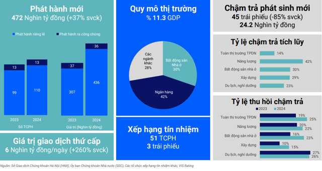 To&agrave;n cảnh thị trường TPDN năm 2024.