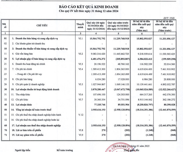 B&aacute;o c&aacute;o t&agrave;i ch&iacute;nh qu&yacute; IV/2024 &nbsp;