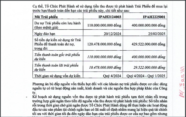 IPA liên tục phát hành hàng nghìn tỷ trái phiếu để cho một doanh nghiệp vay - Ảnh 4