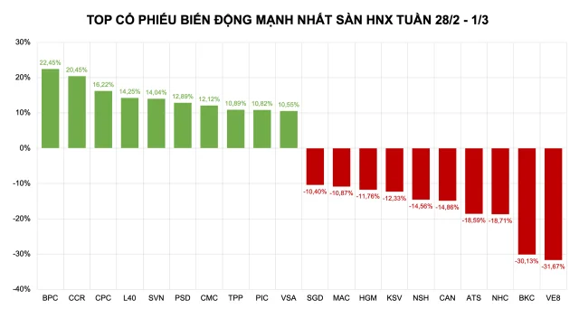 Cổ phiếu tăng mạnh: VIC vọt lên nhờ hiệu ứng Vinpearl, BCG và TCD chìm sâu - Ảnh 2