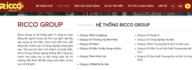 Vi phạm thuế, thành viên của Ricco Group bị xử lý 2,4 tỷ đồng - Ảnh 1