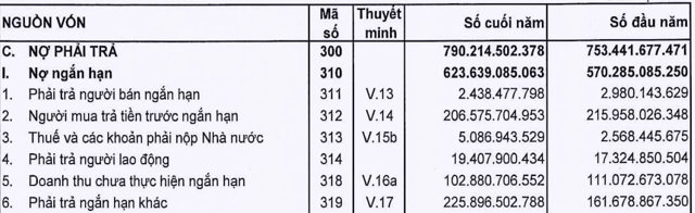 ‘Ông lớn’ CONINCO: Nợ phải trả gấp 5,3 lần vốn chủ sở hữu - Ảnh 1