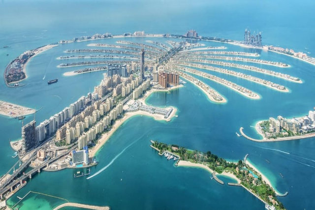 Đảo C&acirc;y Cọ ở Dubai