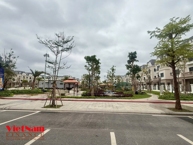 Khảo sát giá Vinhomes Golden Avenue tại cửa khẩu Bắc Luân II - Móng Cái - Ảnh 8