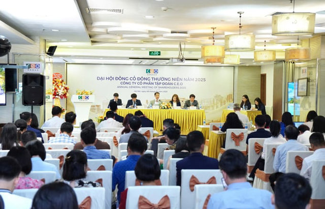 CEO đặt mục tiêu lợi nhuận sau thuế hợp nhất 182 tỷ đồng trong năm 2025 - Ảnh 1