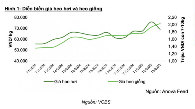 Thịt lợn đắt giá, lợi nhuận năm 2025 của Dabaco vượt 1.600 tỷ đồng? - Ảnh 1