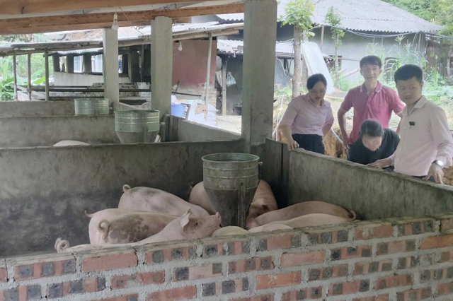 Tín dụng chính sách "thắp sáng" bản làng vùng cao - Ảnh 1