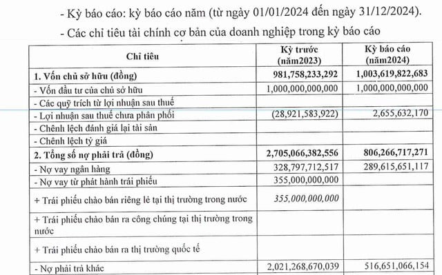 Dư nợ tr&aacute;i phiếu của Đầu tư DHA giảm từ 355 tỷ đồng đầu năm về 0 tỷ đồng cuối năm 2024.
