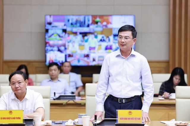 Ph&oacute; Thống đốc Ng&acirc;n h&agrave;ng Nh&agrave; nước Việt Nam (NHNN) Phạm Thanh H&agrave;. (Ảnh: SBV)