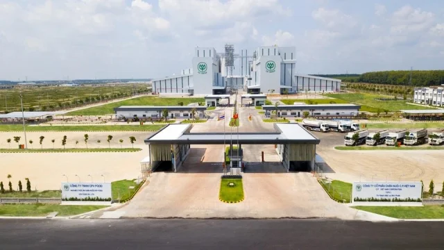 C.P. Việt Nam và cuộc đấu với các tập đoàn nội địa - Ảnh 1