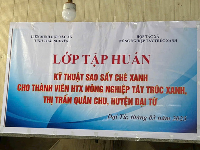 Người phụ nữ đam mê xây dựng thương hiệu chè hữu cơ - Ảnh 5
