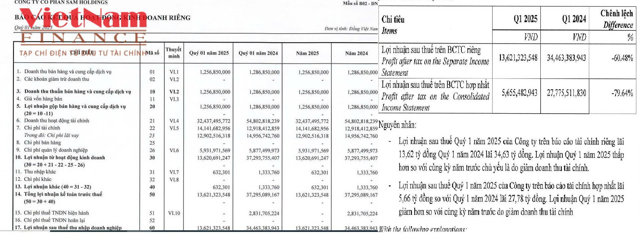 SAM Holdings&nbsp;b&aacute;o l&atilde;i từ t&agrave;i ch&iacute;nh, trong khi doanh thu vận h&agrave;nh gần như đ&oacute;ng băng