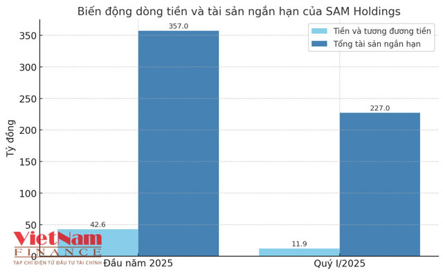 ‘Cuộc chơi nghìn tỷ’ của SAM Holdings: Tham vọng lớn, dòng tiền nhỏ - Ảnh 1