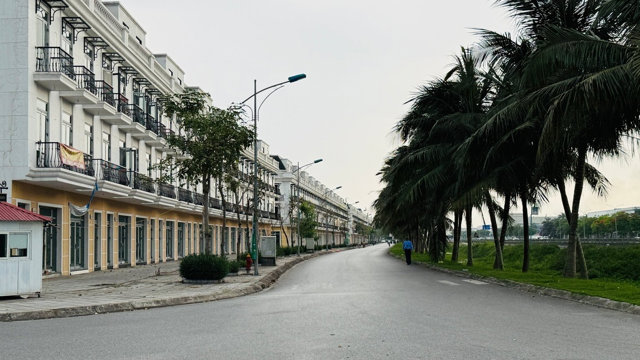 Đón loạt dự án tỷ USD: BĐS Hải Phòng bùng nổ, giá nhà đất tăng mạnh - Ảnh 2