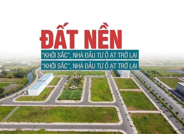 Đất nền khởi sắc, nhà đầu tư ồ ạt trở lại, 6 tháng cuối năm sẽ diễn biến thế nào? - Ảnh 1