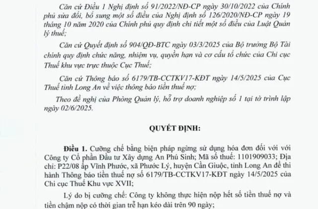 Chủ đầu tư dự &aacute;n An Ph&uacute; Sinh bị cưỡng chế ngừng sử dụng ho&aacute; đơn do nợ thuế 130 tỷ đồng.