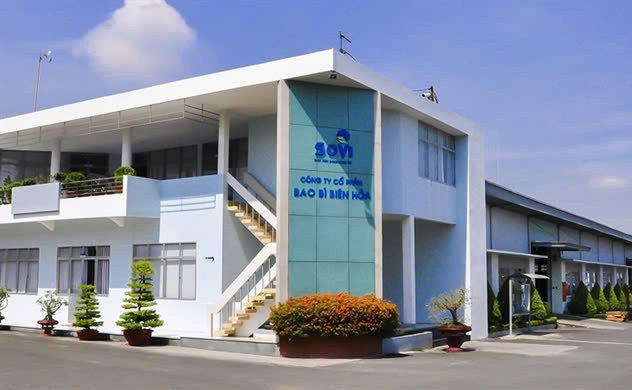 Đồng Nai: Xử phạt hai đơn vị vi phạm trong lĩnh vực bảo vệ môi trường - Ảnh 1