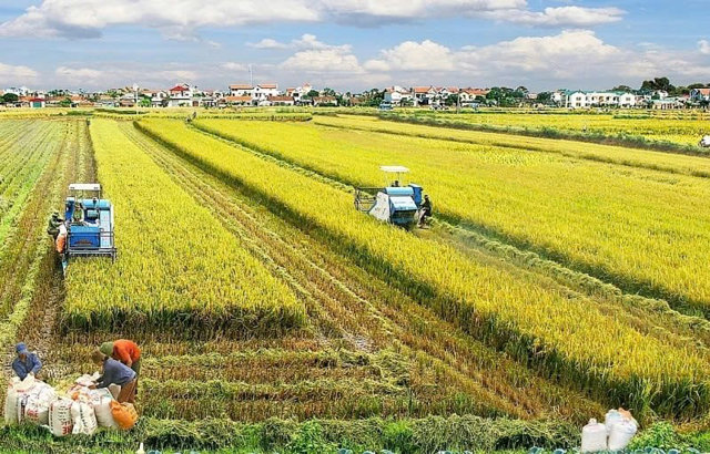 Chính sách miễn thuế đất nông nghiệp dành cho hộ nghèo - Ảnh 1
