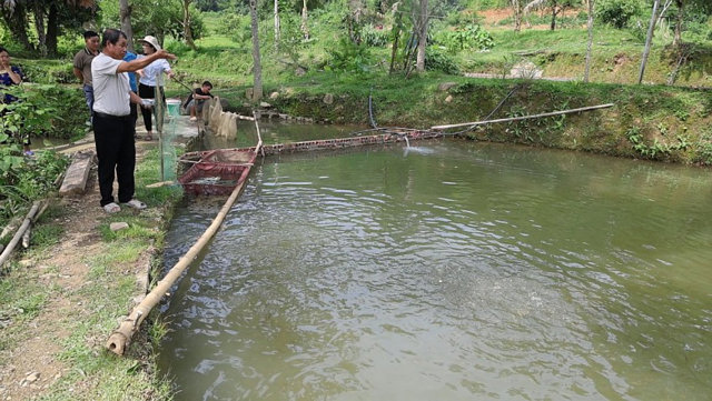 Lão nông dân tộc Thái với mô hình cá Dầm Xanh tiền tỉ - Ảnh 4
