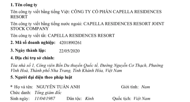 Tìm hiểu về ACT Holdings, chủ đầu tư Khu đô thị Đầm Cà Ná 4.500 tỷ - Ảnh 4