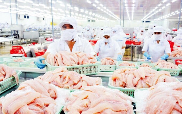 C&aacute; tra l&agrave; một trong những mặt h&agrave;ng xuất khẩu chủ lực, mang về doanh số nhiều tỷ USD cho thủy sản Việt Nam.