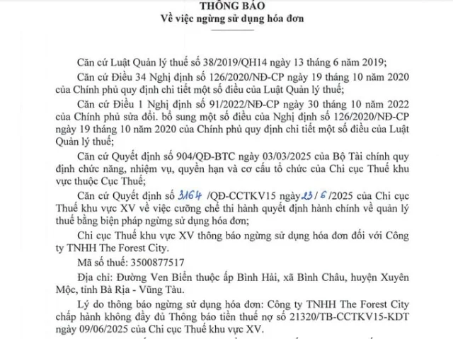 C&ocirc;ng ty The Rorest City bị cưỡng chế ngừng sử dụng h&oacute;a đơn do nợ thuế hơn 130 tỷ đồng.