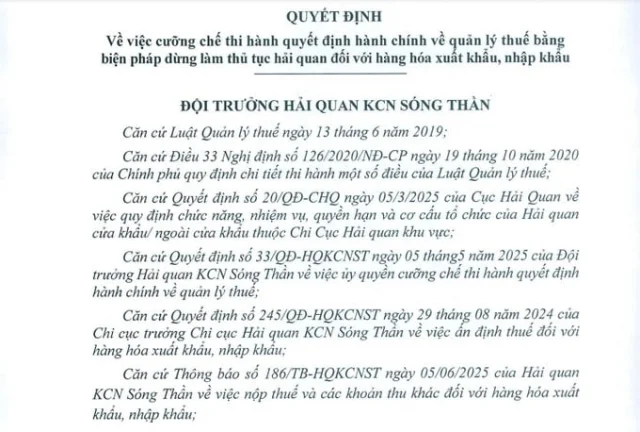 Nợ thuế 5,5 tỷ đồng, Công ty TNHH Dệt Đông Tiến Hưng bị cưỡng chế dừng làm thủ tục hải quan - Ảnh 1