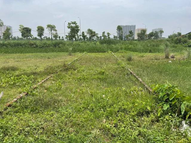 Nh&agrave; đầu tư đang c&oacute; xu hướng &ldquo;quay lưng&rdquo; với đất nền sau đợt sốt đất ngắn hạn. Ảnh: L&ecirc; T&acirc;m. &nbsp;