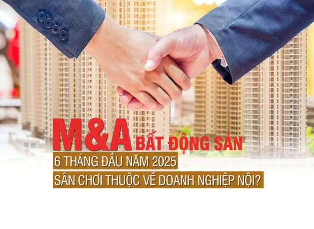 M&A bất động sản 6 tháng đầu năm 2025: Sân chơi thuộc về doanh nghiệp nội? - Ảnh 1