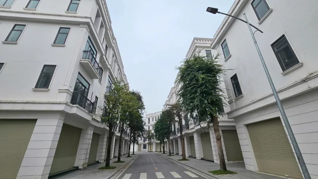 D&atilde;y shophouse HJC Li&ecirc;m Tuyền nằm cạnh Bệnh viện Việt Đức cơ sở 2 tại H&agrave; Nam cũng chung số phận bỏ hoang , kh&ocirc;ng b&oacute;ng người nhiều năm nay.