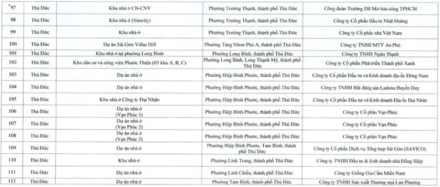 TP.HCM: Người dân một số khu vực được miễn giấy phép xây nhà; nghiên cứu mở rộng sang khu vực khác - Ảnh 4
