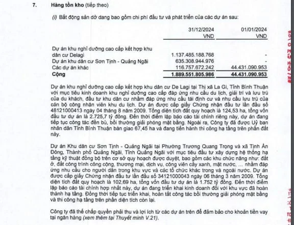 Nợ phình to hơn 25.000 tỷ đồng, CII phải phát hành cổ phiếu để tăng vốn - Ảnh 1