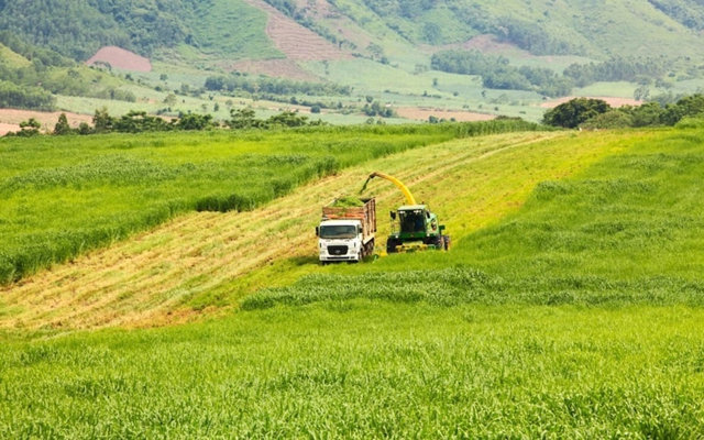 Quảng Ninh: Nhà đầu tư muốn rót 5 tỷ USD làm dự án năng lượng xanh tại KCN Hải Hà - Ảnh 1