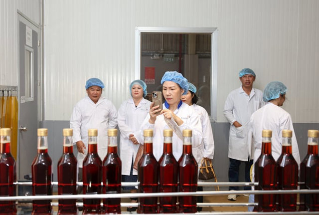 Chất lượng của sản phẩm sẽ lu&ocirc;n được đảm bảo với d&acirc;y chuyền chiết r&oacute;t, đ&oacute;ng chai tự động kh&eacute;p k&iacute;n chặt chẽ từng kh&acirc;u