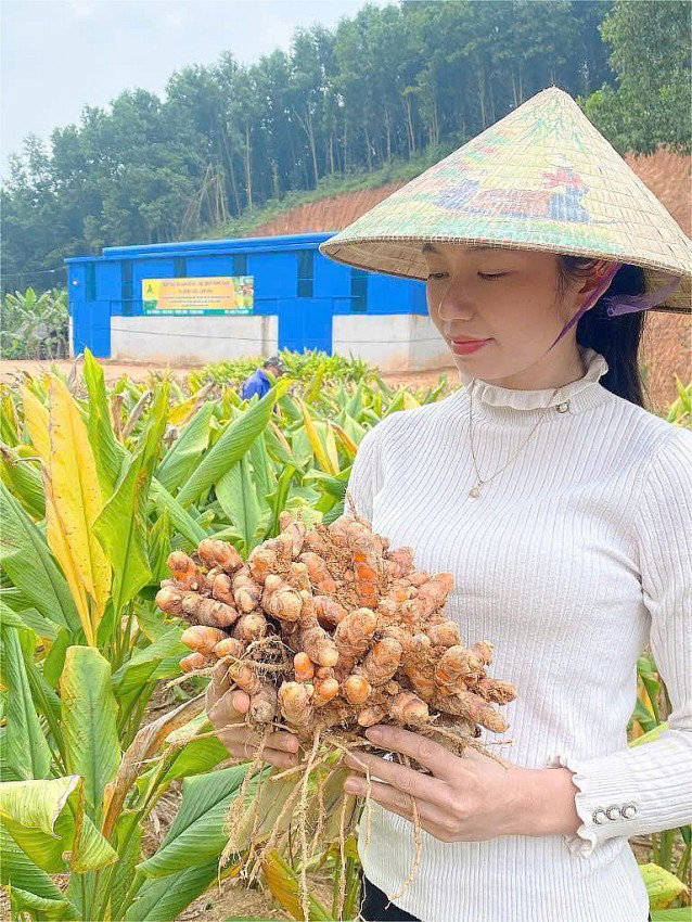 Cô gái Thái và câu chuyện khởi nghiệp với cây nghệ nếp đỏ - Ảnh 2