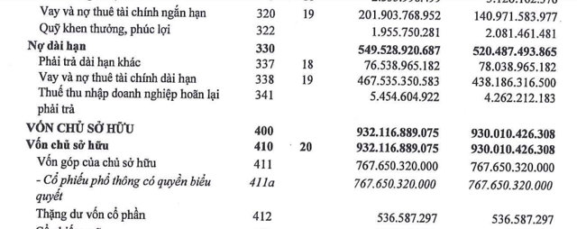 Tổng nợ vay của Halcom Việt Nam gần 669,44 tỷ đồng, hiện chiếm tới 82,3% nợ phải trả của c&ocirc;ng ty.