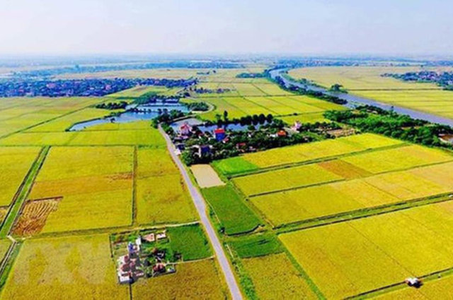 Tiền chuyển đất nông nghiệp sang đất ở: Có thể giảm còn 30 - 50% - Ảnh 1