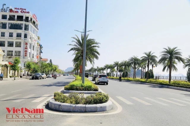 Khảo sát tuyến đường có giá bất động sản đắt nhất Quảng Ninh - Ảnh 5