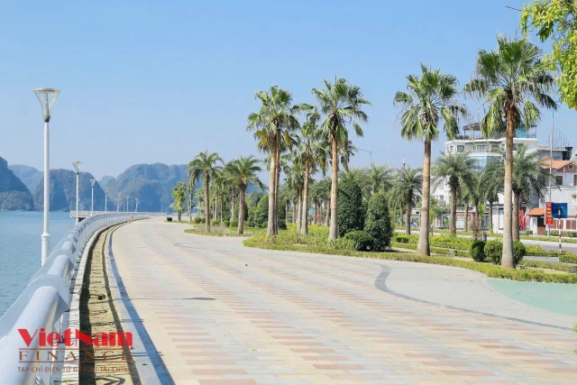 Khảo sát tuyến đường có giá bất động sản đắt nhất Quảng Ninh - Ảnh 6
