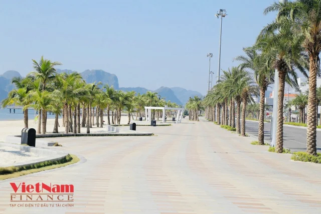 Khảo sát tuyến đường có giá bất động sản đắt nhất Quảng Ninh - Ảnh 7